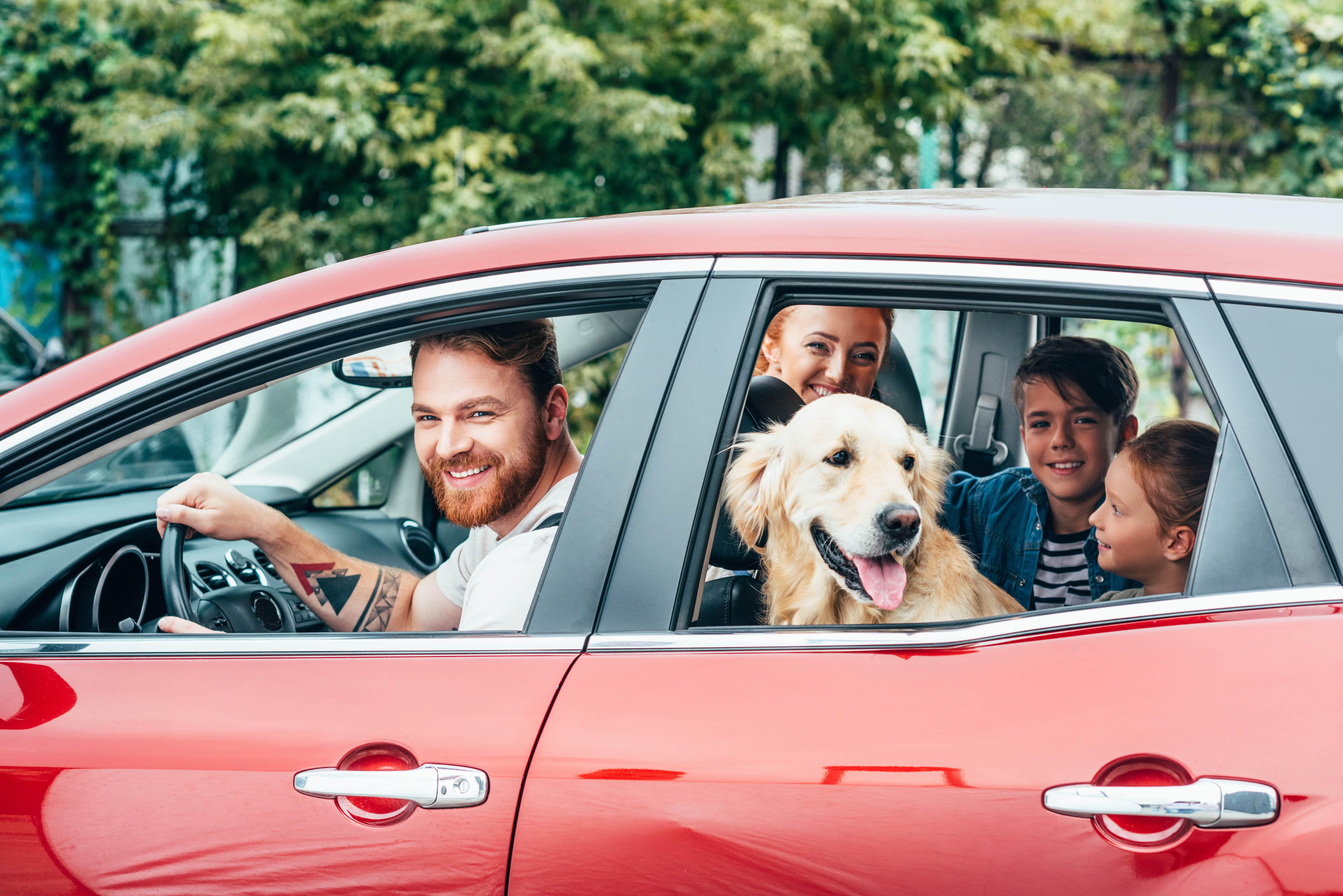 Fun family in the car happy family moving